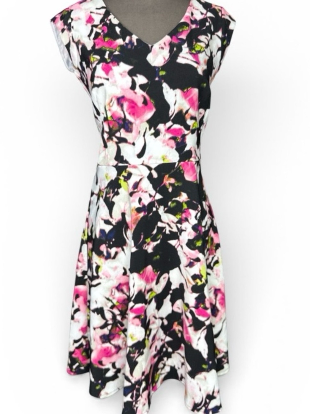 Gabby Skye Floral Fit And Flare Dress Pink Black White Cap Sleeve Size 8